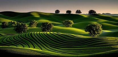 Serene Rolling Hills Landscape Lush Green Fields and Trees at Sunset Stunning Nature photo