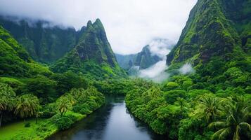 Lush Tropical River Valley Landscape with Misty Mountains and Palm Trees A breathtaking view of nature s beauty photo