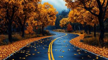 Scenic Autumn Road Winding Through Golden Trees Fallen Leaves Wet Asphalt photo