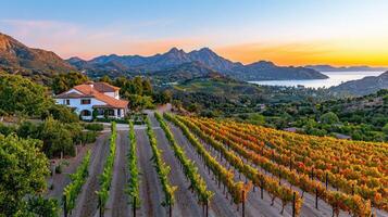 Stunning Sunset View of Vineyard Estate Home with Mountain and Lake Panorama photo