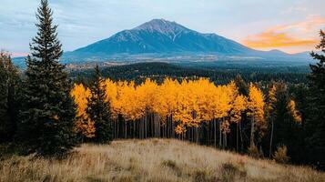 Majestic Mountain View with Golden Aspen Trees at Sunset in Autumn Landscape photo