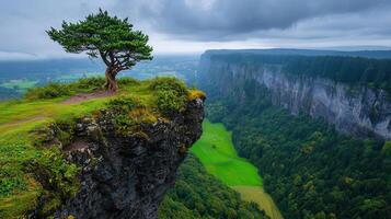 Serene Landscape Lone Tree on Cliff Edge Overlooking Lush Green Valley and Steep Rock Face photo