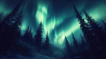 A serene night scene featuring the aurora borealis above a dark forest photo