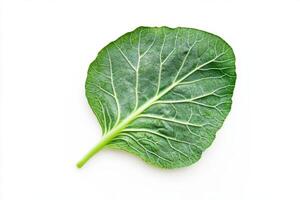 A single green leaf with visible veins, ideal for culinary use or as a natural decoration. photo