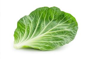 A fresh green cabbage leaf showcasing its vibrant color and intricate vein patterns. photo
