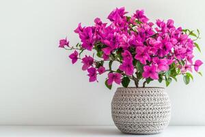 A vibrant bouquet of pink bougainvillea in a woven pot, enhancing interior decor photo