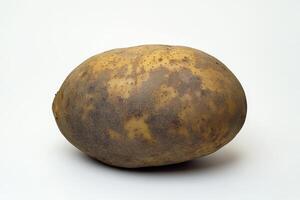A single potato with a rough, earthy texture, showcasing its natural appearance. photo