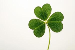 A close-up of a four-leaf clover against a light background, symbolizing luck and nature. photo