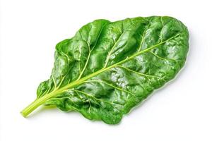 A fresh green spinach leaf on a white background, showcasing its texture and color. photo