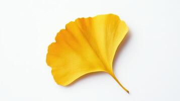 A vibrant yellow ginkgo leaf displayed on a clean white background. photo
