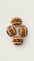 A walnut kernels on a white background photo