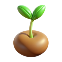 vibrant rustic A single, sprouting seed, macro photography, soft lighting genuine png