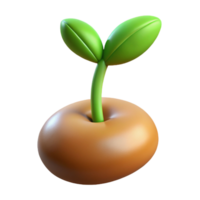 wonderful vintage A single, sprouting seed, macro photography, soft lighting high resolution png