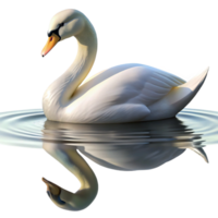 impressive creative A graceful swan gliding across a still lake, serene setting, soft lighting, elegant reflection original png