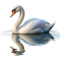 wonderful minimalist A graceful swan gliding across a calm lake, reflective water and serene atmosphere, impressionistic style genuine png