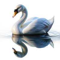 stunning modern A graceful swan gliding across a still lake, serene setting, soft lighting, elegant reflection original png