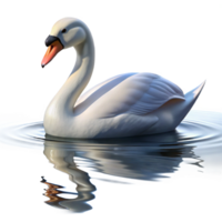 beautiful abstract A graceful swan gliding across a calm lake, reflective water and serene atmosphere, impressionistic style high quality png