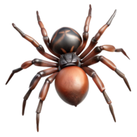 impressive traditional A close-up of a spider spinning its web, intricate and delicate, in macro photography style, with soft lighting genuine png
