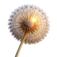 wonderful contemporary A single dandelion seedhead with intricate details, backlit by the setting sun, macro photography style detailed png
