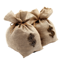 Two burlap money bags with dollar signs and a coin on a transparent background representing wealth and finance concepts, money bags with dollar sign and coin on transparent background png