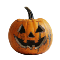 A carved Halloween pumpkin with a cheerful expression resting on a plain transparent background for festive decoration, halloween pumpkin on transparent background png