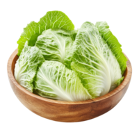 Fresh Chinese cabbages arranged neatly in a wooden bowl on a clean transparent background, fresh chinese cabbages in wood bowl on transparent background png