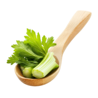 Fresh celery leaves and stalks in a wooden spoon on a transparent background for culinary use, celery leaf in wood spoon isolated on transparent background png