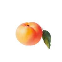 Fresh peach resting on a transparent background with a green leaf, showcasing natural colors and texture in detail, Striped Beach Bags on transparent background png