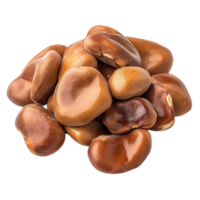 Broad Windsor fava bean seeds on a clean transparent background showcasing their rich texture and color, Broad windsor fava bean seeds on transparent background png