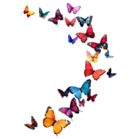 Colorful butterflies of various species in vibrant hues gracefully arranged on a transparent background for artistic display, colorful butterflies isolated transparent background png