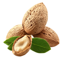 A group of raw almonds with shells resting on a transparent surface surrounded by green leaves, Group of almonds nut with shell isolated on transparent background png