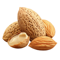 A group of raw almonds in their shells on a clean transparent background showcasing natural textures and colors, Group of almonds nut with shell isolated on transparent background png