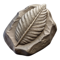 vibrant vintage A single fossilized leaf imprinted on a rock, monochrome, museum lighting professional png