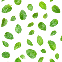 Fresh mint leaves arranged in a playful pattern on a clean transparent background for culinary and design purposes, Fresh mint leaves pattern isolated on transparent background png