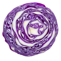 A detailed slice of purple cabbage showcasing its vibrant colors and intricate layers on a clean transparent background, Purple cabbage slice on transparent background png