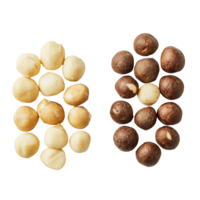 Shelled and unshelled macadamia nuts arranged on a clean transparent background for culinary uses and recipes, Shelled and unshelled macadamia nuts on transparent background png