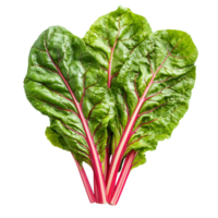 Fresh Swiss chard leaves with vibrant red stems isolated on a transparent background ready for culinary use, Swiss chard leaves vegetable isolated on transparent background png