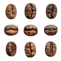 A unique view of isolated coffee beans arranged in an artistic pattern on a clean transparent surface, Different angle of individual coffee bean isolated png