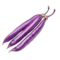 Fresh purple long beans isolated, showcasing their vibrant color and elongated shape on a clean transparent background, Purple long bean isolated on transparent background png