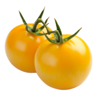 Fresh yellow tomatoes on a transparent background ready for culinary use and healthy meal preparation, Yellow tomatoes on transparent background png