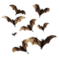 Flock of bats in flight against a transparent background during twilight hours, flying flock of bats, file of isolated object on transparent background png
