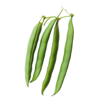 Fresh green beans displayed against a clean transparent background with natural lighting for a vibrant appearance, green bean on transparent background png
