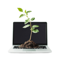 A plant thriving through a laptop keyboard symbolizes natures resilience against technology in a minimalist setting, Plant Growing Through Laptop on transparent background png
