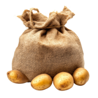 Fresh potatoes in a burlap sack with additional potatoes on a transparent background, potato in the sack isolated on transparent background png