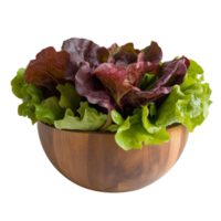 Fresh red oak lettuce in a wooden bowl against a simple transparent background for a healthy culinary choice, Red oak lettuce in wood bowl on transparent background png