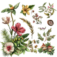 A colorful collection of botanical illustrations with flowers, leaves, and natural elements on a transparent background, Stunning natural elements on transparent background or transparent background png