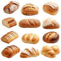 A variety of freshly baked artisan breads on a transparent background showcasing unique textures and shapes, Delicious different sort of bread, bakery on transparent background png
