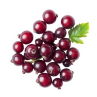 Fresh bengal currants and carandas plum bunch isolated on a transparent background, bengalcurrants, carandasplum, isolated on transparent background png