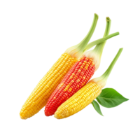 Freshly harvested colorful pepper corns with leaf isolated on a clean transparent background, Fresh pepper corn with leaf isolated on transparent background png
