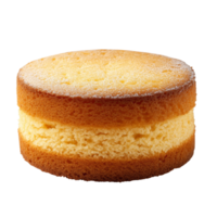 Delicious round sponge cake freshly baked and presented on a transparent background for dessert lovers, basic sponge cake isolated on transparent background png